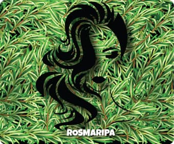 Rosmaripa