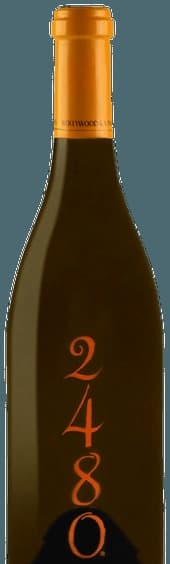 2480 Chardonnay