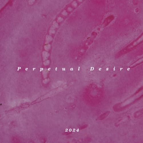 Perpetual Desire 2024