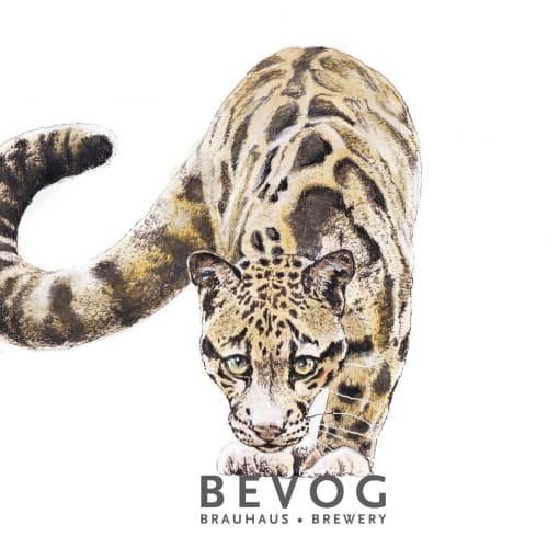 Extinction Is Forever!: Clouded Leopard