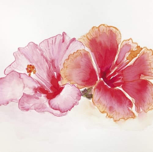 Rouge Hibiscus 2018