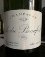 Blanc de Blancs Brut Nature Champagne