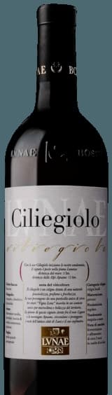 Ciliegiolo