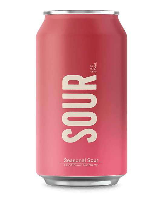 Blood Plum & Raspberry Seasonal Sour