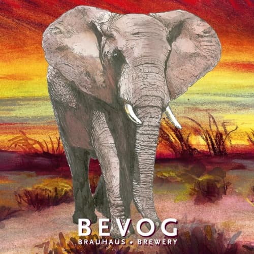 Extinction Is Forever!: African Forest Elephant