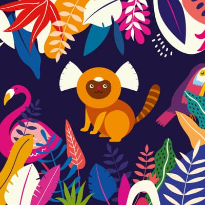 Tropical Minds