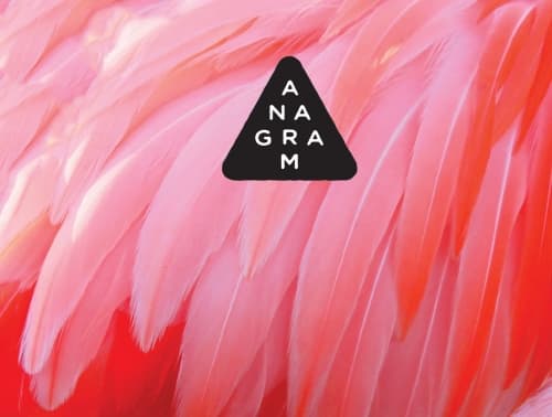 Pink Flamingose - Raspberry