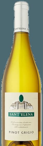 Pinot Grigio