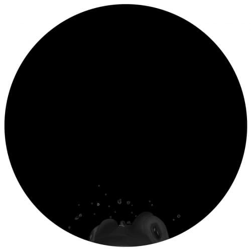 The Black Album