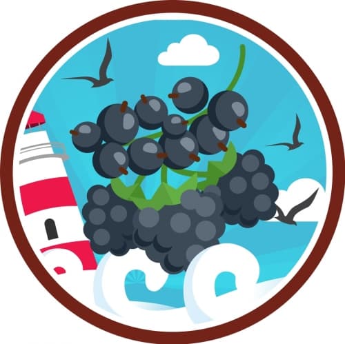 Art of Tart: Black Currant & Blackberry