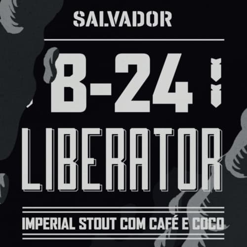 B-24! Liberator