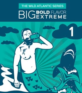 The Wild Atlantic Series #1 - Sour Wheat Ale