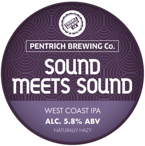 Sound Meets Sound