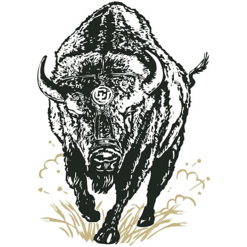 Stampede