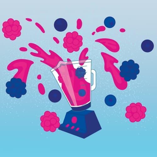 Double Berry Blender