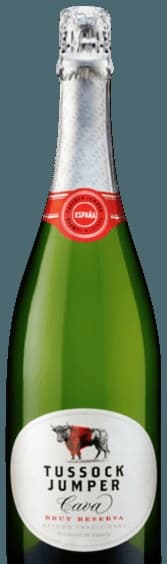 Cava Brut Reserva