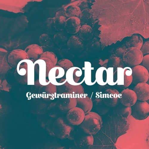 Nectar (Gewürztraminer/Simcoe)