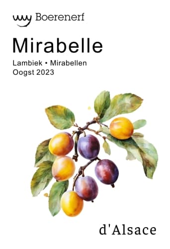 Mirabelle (Oogst 2023)
