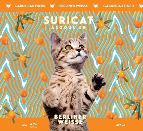 Suricat Argousier
