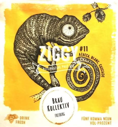 Ziggy #11