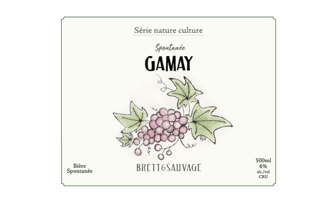 GAMAY V2