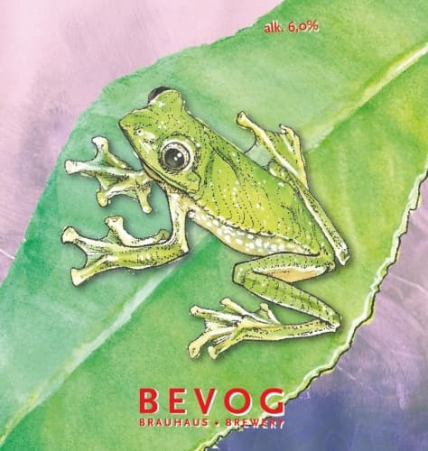 Extinction Is Forever!: Anaimalai Flying Frog
