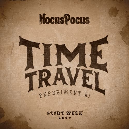 Time Travel Experiment