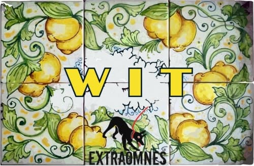 Wit