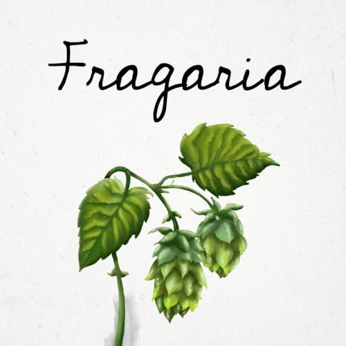 Fragaria