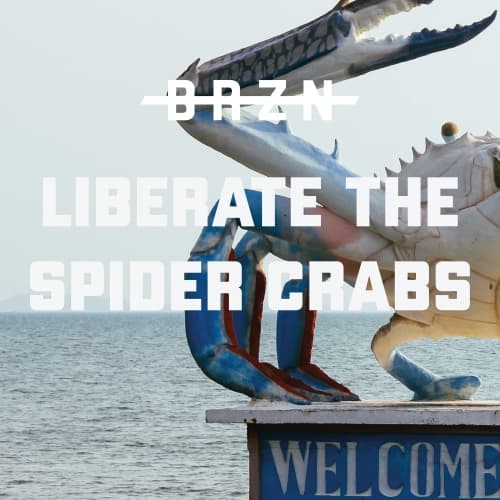 LIBERATE THE SPIDER CRABS