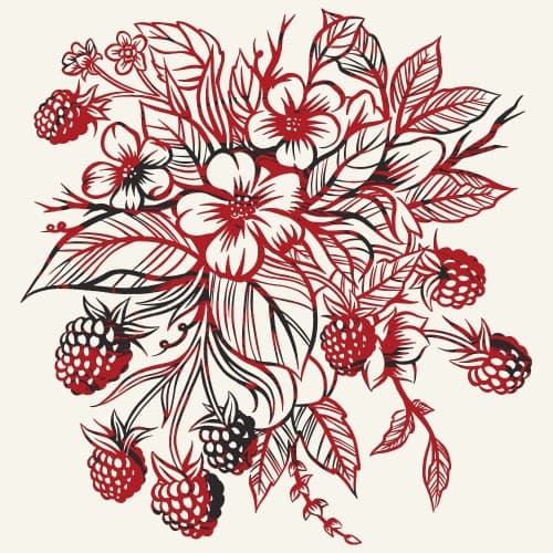 Framboise Claret (2023)