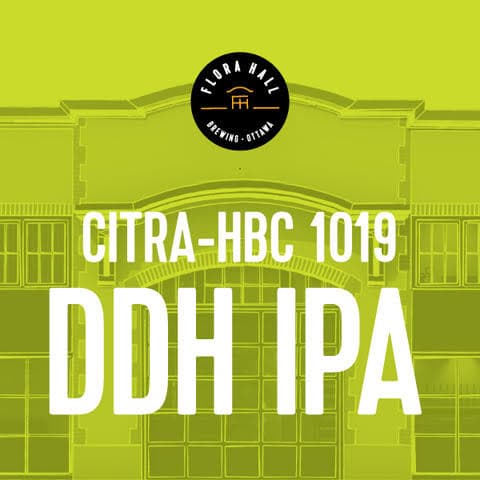 Citra-HBC 1019 DDH IPA