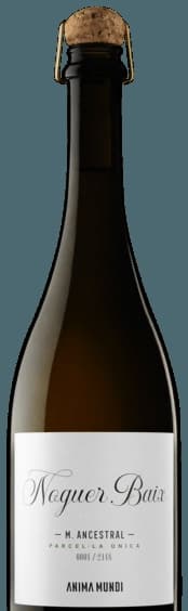 Noguer Baix