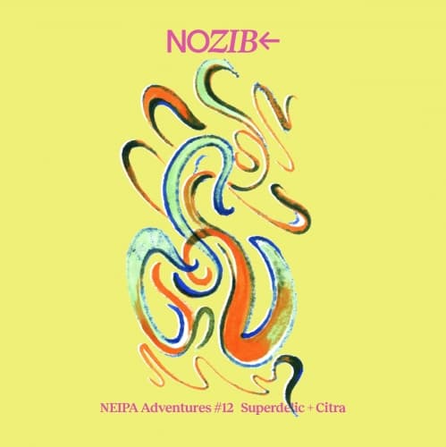 NEIPA Adventures #12 Superdelic + Citra