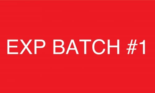 EXP BATCH #1 LEMON/GINGER TABLE SAISON