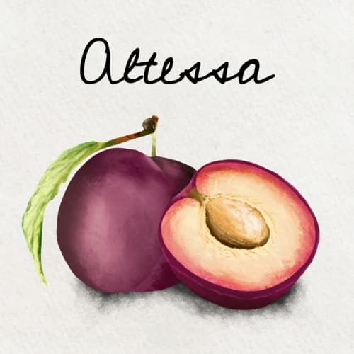 Altessa