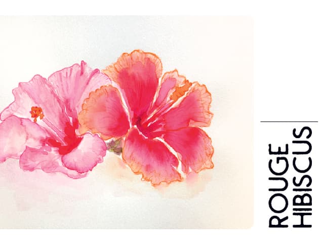Rouge Hibiscus 2020