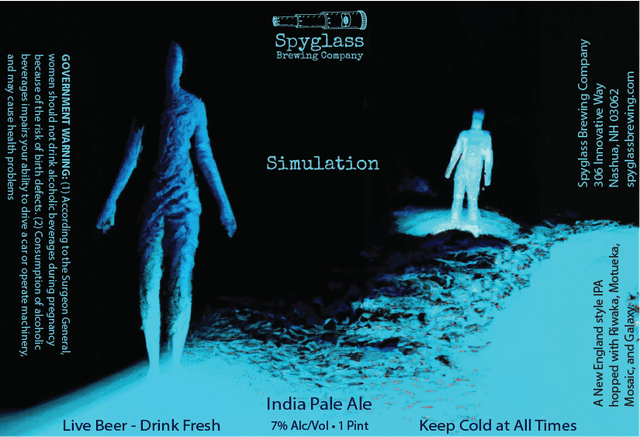 Simulation