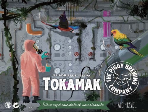Tokamak
