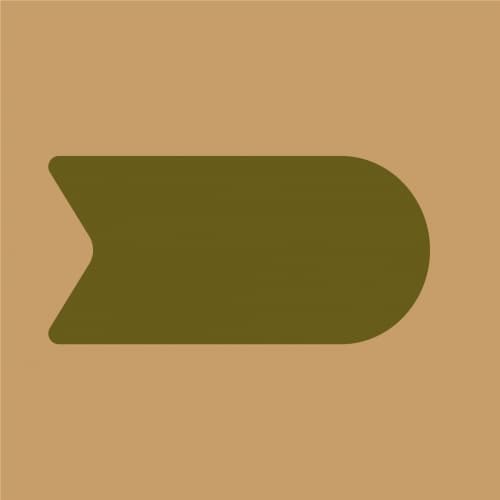 Monoski - Motueka
