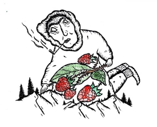 Квасне на малині (Berliner Raspberry)