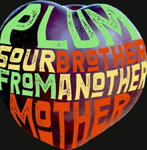 Sour Plum Brother From Another Mother