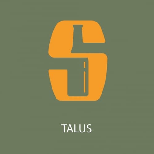 Talus