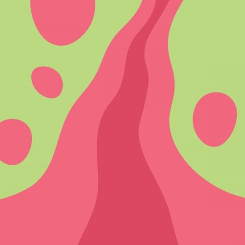 Slurpii (Raspberry + Key Lime)