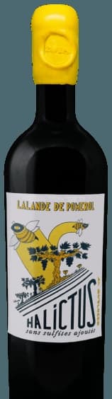 Halictus Lalande-de-Pomerol