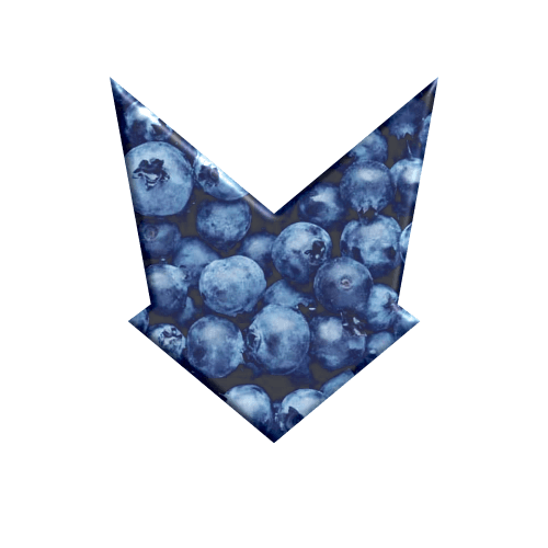 Blueberry Sly Fox