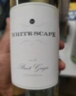 Pinot Grigio