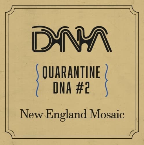 Quarantine DNA #2: New England Mosaic