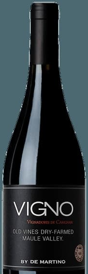Vigno (Vignadores de Carignan) Carignan