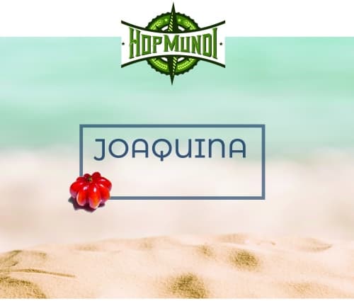 Joaquina Sour